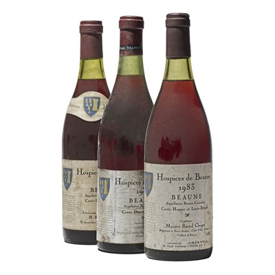 Lot 100 - 10 bottles Mixed Hospices de Beaune