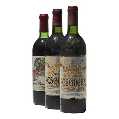 Lot 222 - 3 bottles Mixed Spanish Reds
