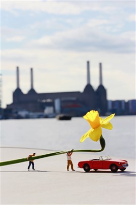 Lot 263 - Roy's People (British), 'Pick And Run', 2015