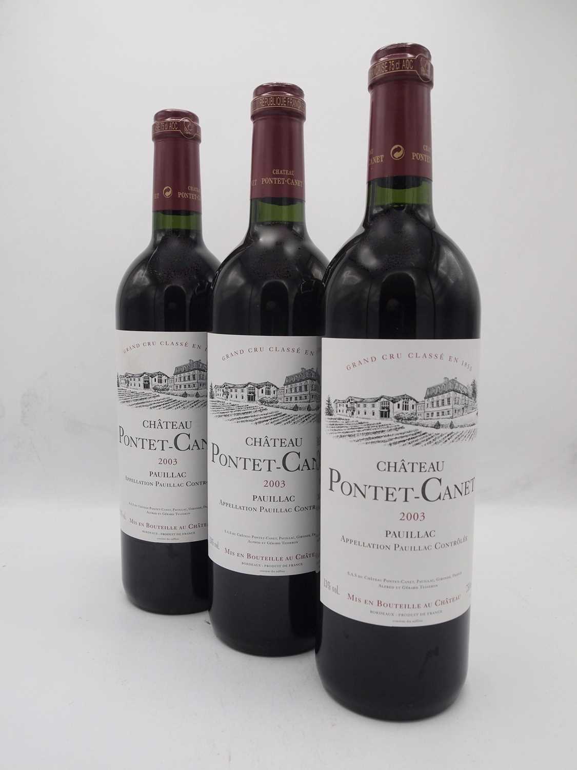 Lot 94 - 8 bottes 2003 Ch Pontet Canet