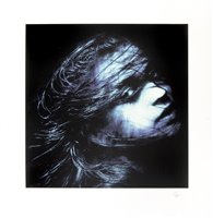 Lot 320 - Snik (British Duo), ‘Finding Freedom (Moonlight Variant)’, 2015