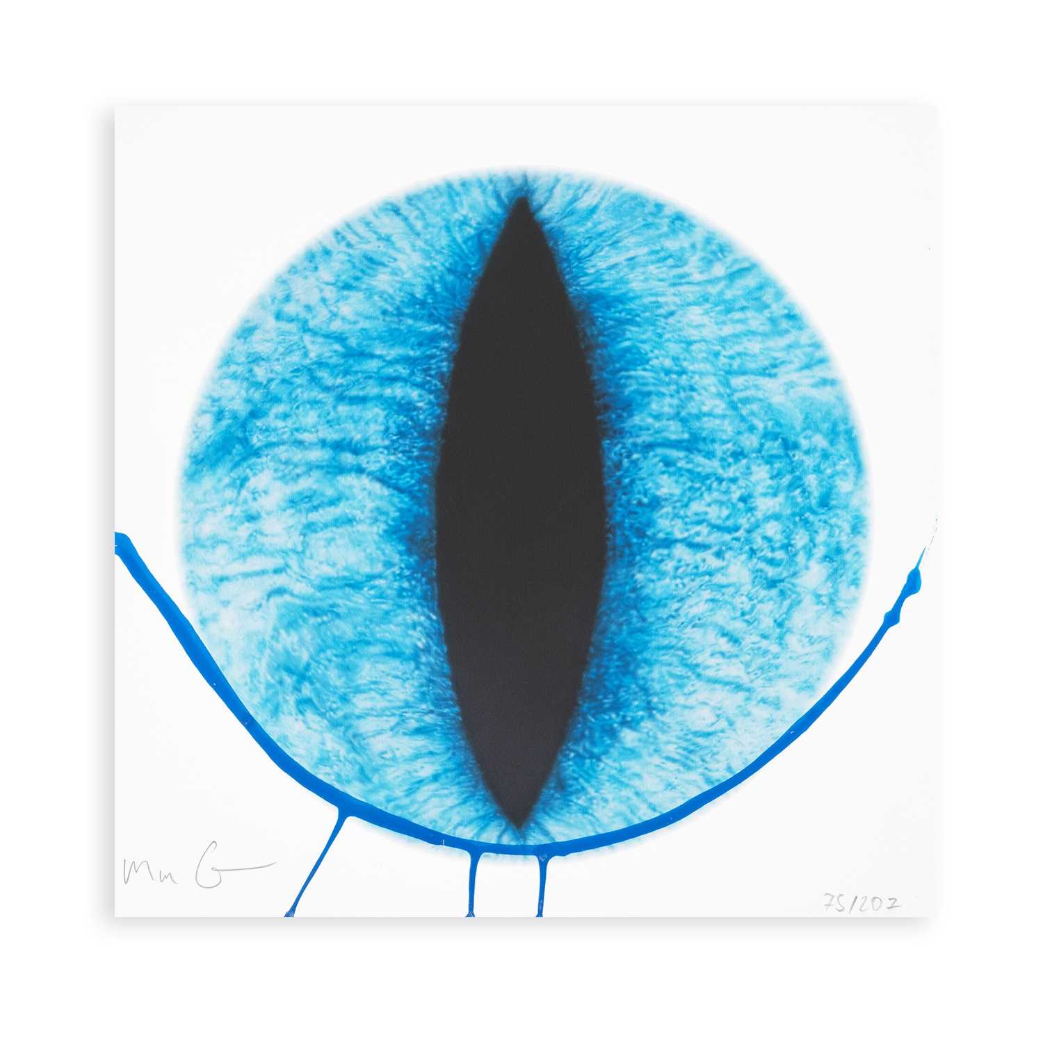 Lot 96 - Marc Quinn (British 1964-), 'Spectrum of Sentience (Balinese)', 2023
