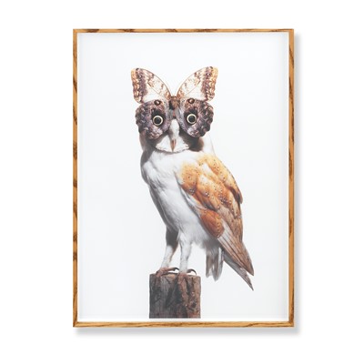 Lot 99 - Nancy Fouts (American 1945-2019), 'Owl With Butterfly', 2012