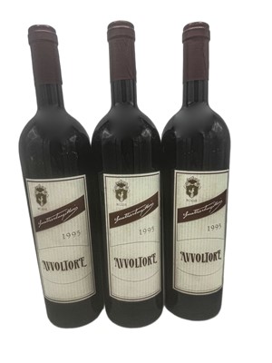 Lot 91 - 12 bottles 1995 Avvoltore