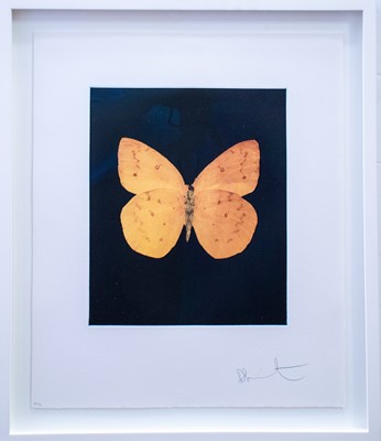 Lot 152a - Damien Hirst (British 1965-), 'Prosperity', 2009