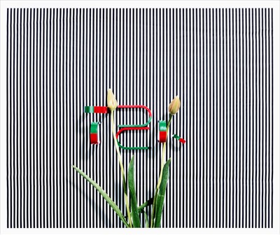 Lot 6 - Annette Kelm (German b.1975), 'Untitled (TZK)', 2013