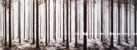 Lot 487 - Pejac (Spanish b.1977), ‘Linea’, 2016