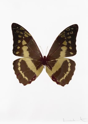 Lot 315 - Damien Hirst (British b.1965), 'The Souls III', 2010