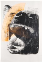 Lot 235 - James Baker (British), 'Hyena Scream', 2008