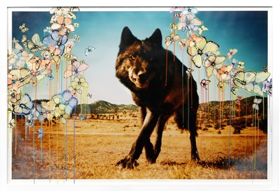 Lot 139 - Michael Muller (American 1961-) & Sage Vaughn (American 1976-), 'Stray From The Pack', 2013