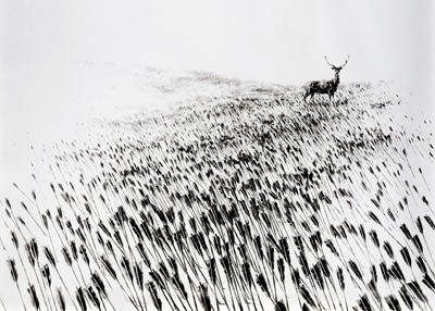 Lot 161 - Pejac (Spanish 1977-), 'Meadow', 2015