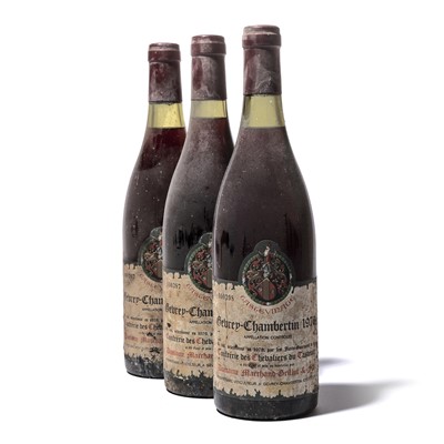 Lot 147 - 11 bottles 1976 Gevrey-Chambertin