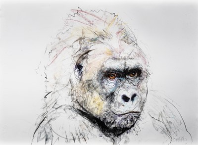 Lot 129 - Dave White (British 1971-) 'Gorilla'