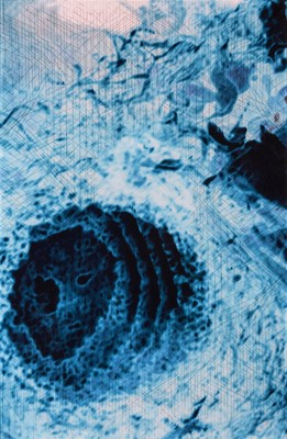 Lot 44 - Stanley Donwood (British 1968-), 'The Crystal World by JG Ballard'