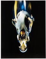 Lot 99 - Mat Collishaw (British b.1966), ‘Blowback’, 2015