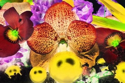 Lot 157 - Marc Quinn (British 1964-), 'Sepas Mous', 2009