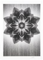 Lot 311 - Shepard Fairey & Kai & Sunny (Collaboration), 'Obey X Kai & Sunny (Black & Silver)', 2013